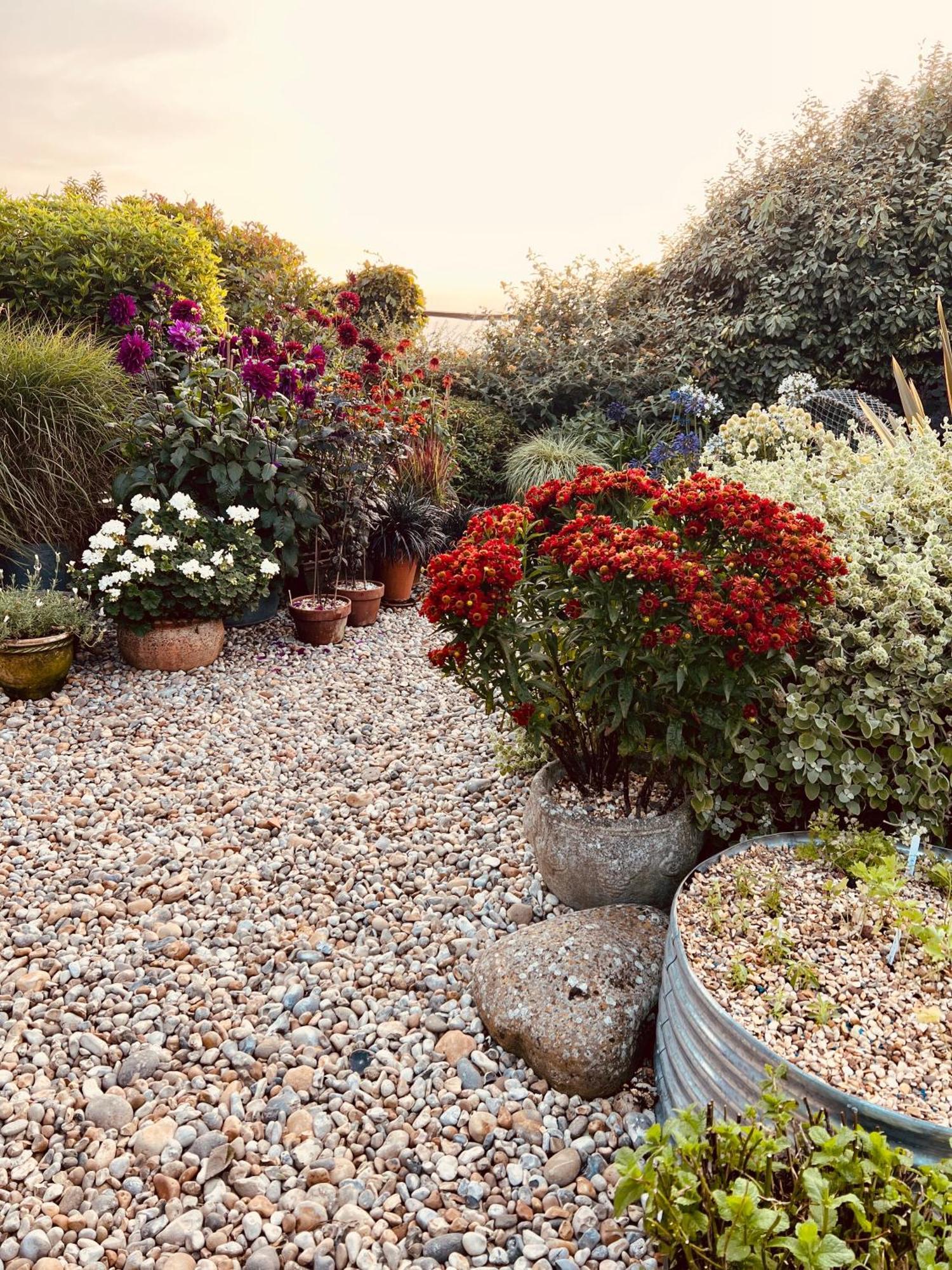 Bed and Breakfast Pluto House Dungeness Esterno foto